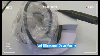 Mindray 75L50EAV Veteriner Ultrason Probu